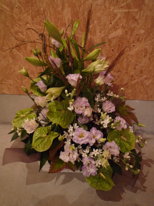 e0080524_17502273.jpg