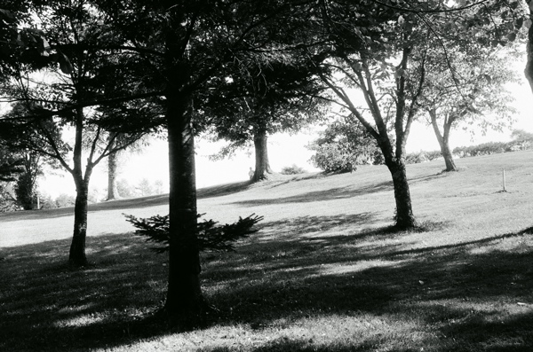f0182924_1729316.jpg
