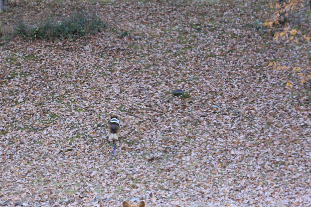 e0071225_1222957.jpg