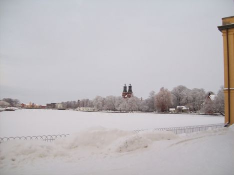 a0169530_23182474.jpg