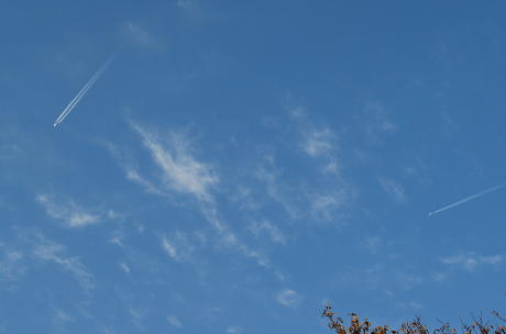 c0025130_10395467.jpg