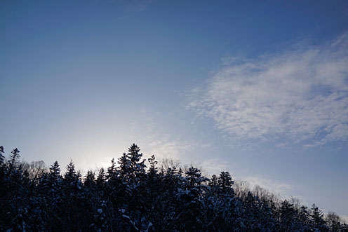 e0025030_914410.jpg