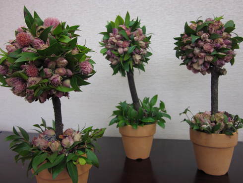f0105732_16444033.jpg