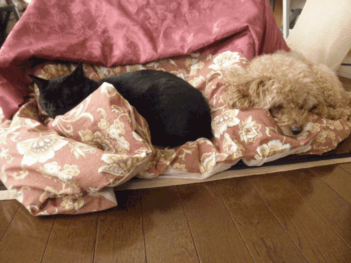 c0136736_18214672.gif