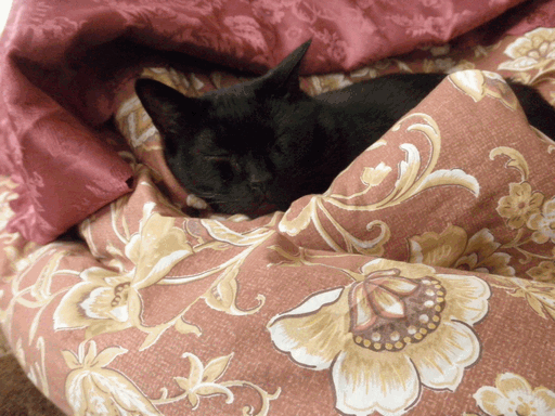c0136736_1822129.gif