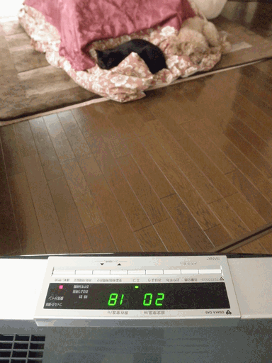 c0136736_18295081.gif