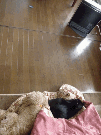 c0136736_18303988.gif