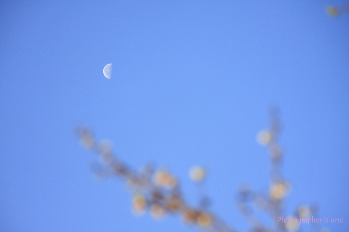 e0083238_21185357.jpg
