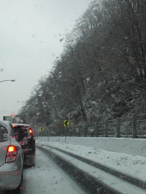 c0117239_8235984.jpg