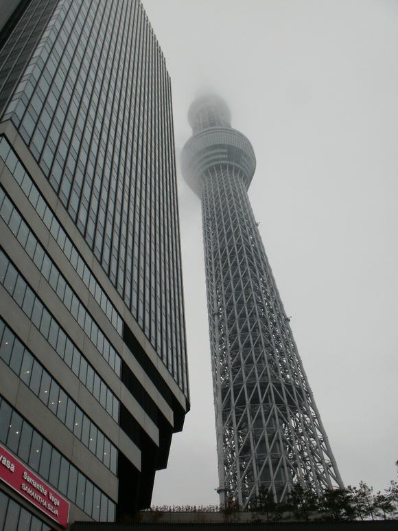 a0099446_207345.jpg