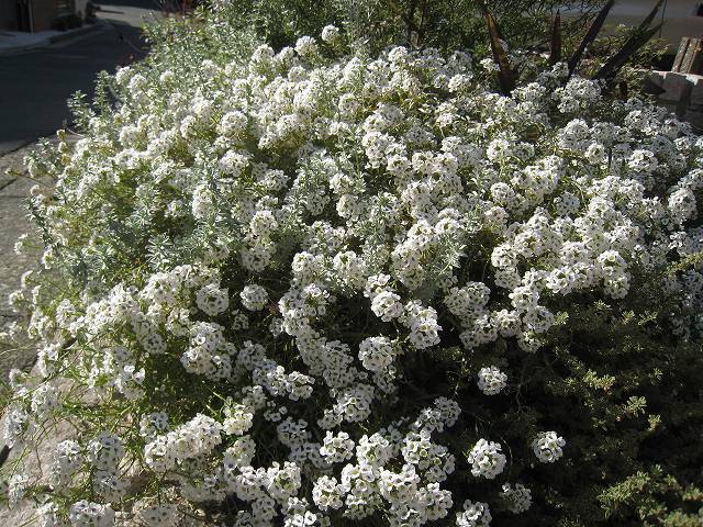 f0176354_23101299.jpg
