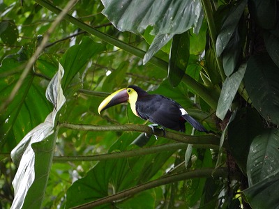 f0043656_11155640.jpg