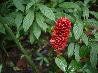 f0043656_11171392.jpg