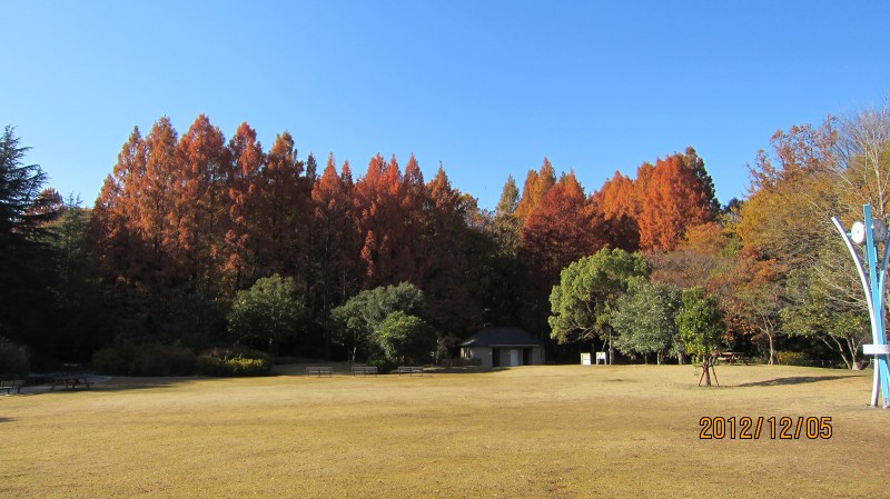 f0044056_1539665.jpg