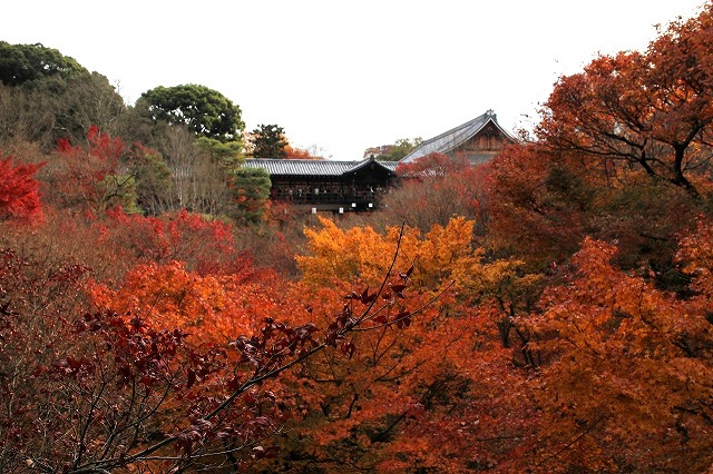 b0044663_23472571.jpg