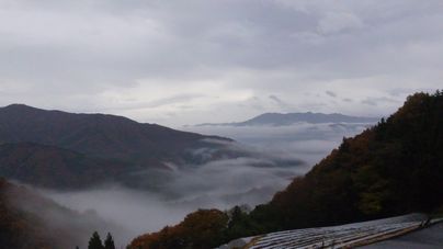 b0063468_411716.jpg