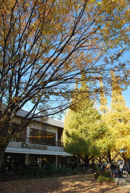 b0174068_23285131.jpg