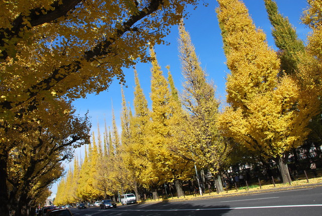 b0174068_2329629.jpg