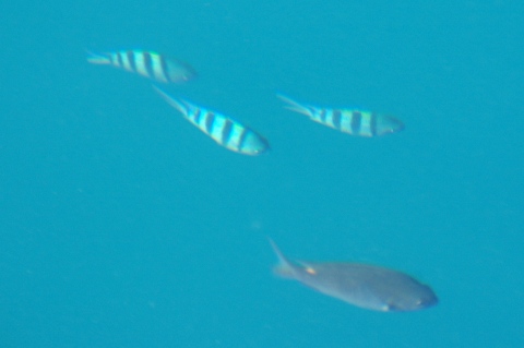 e0045768_22531882.jpg