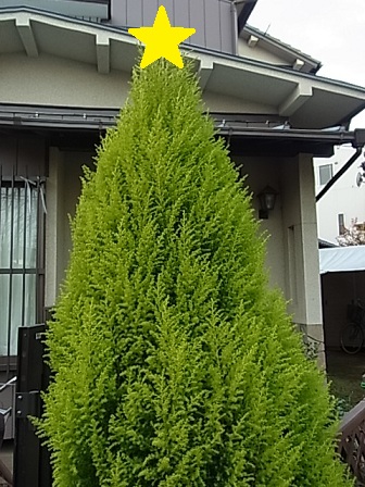 b0185771_1852141.jpg