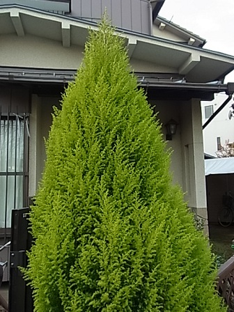 b0185771_185343.jpg