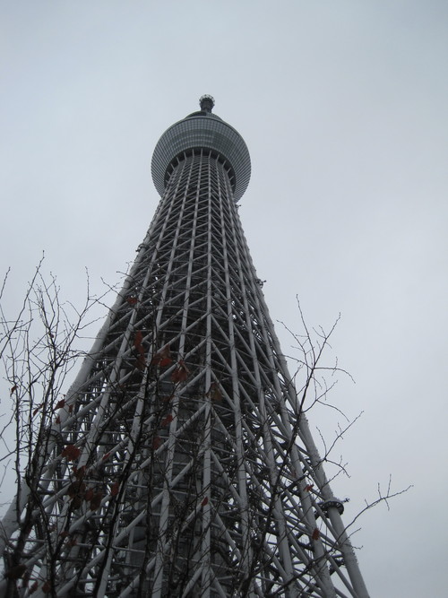 d0116173_01518.jpg