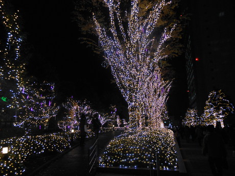 c0206177_8491638.jpg