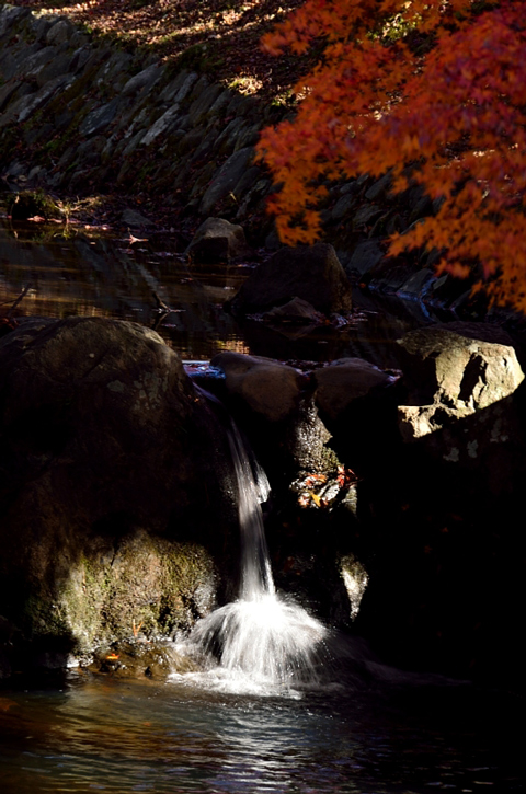 f0108478_205446.jpg
