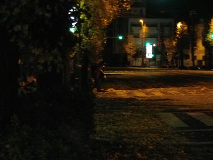 e0048994_16463818.jpg
