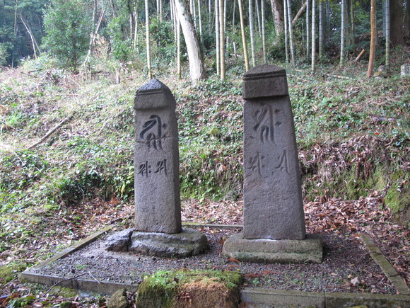 a0166196_158271.jpg