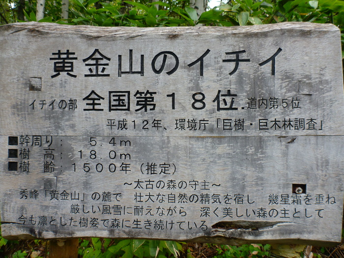 a0243396_21412926.jpg