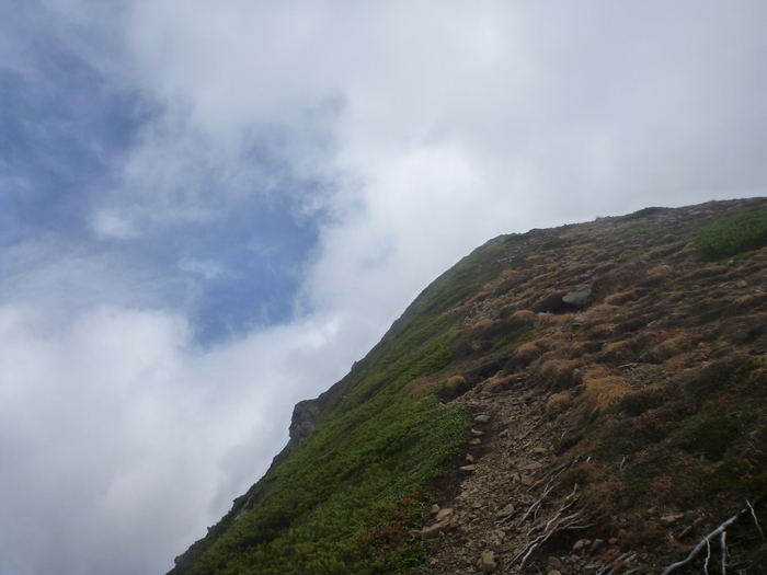 a0243396_220538.jpg