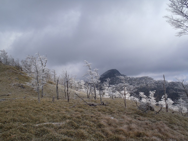 c0147398_23485097.jpg