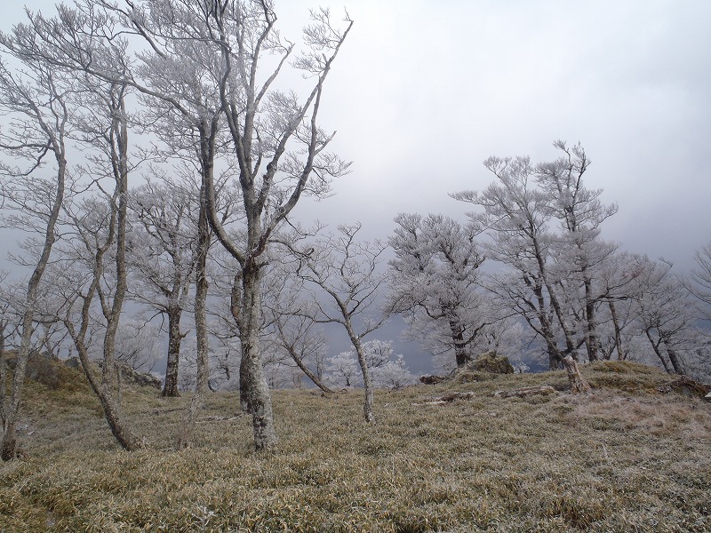 c0147398_23505054.jpg