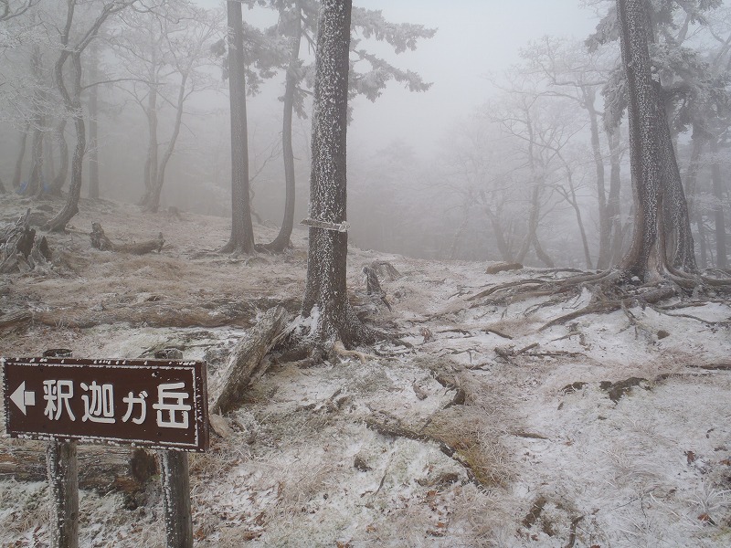 c0147398_23513588.jpg