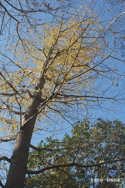 e0025300_16131643.jpg