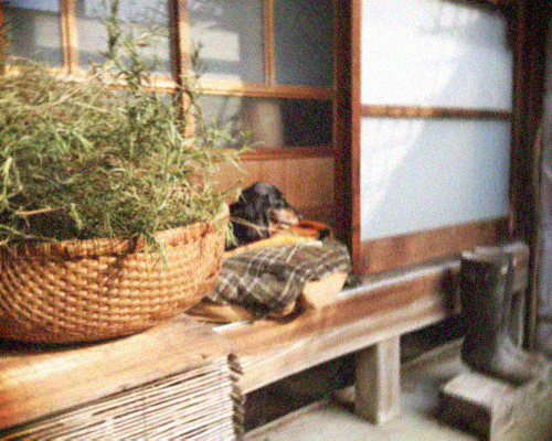d0077603_129252.jpg