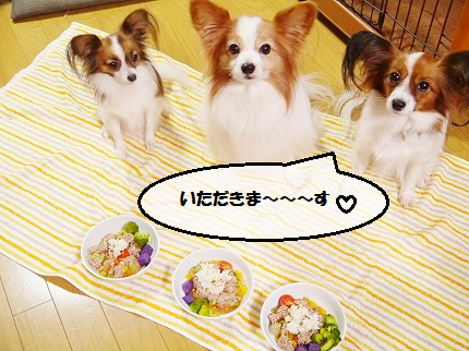 b0243804_13155014.png