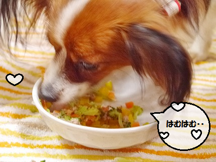b0243804_13162018.png