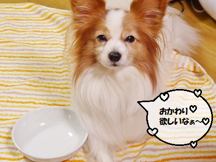b0243804_13291542.png