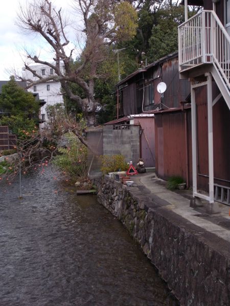 c0164709_7393964.jpg