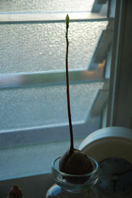 f0000211_21271163.jpg
