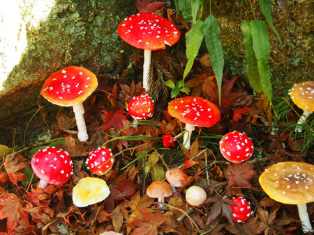 a0254318_1311165.jpg