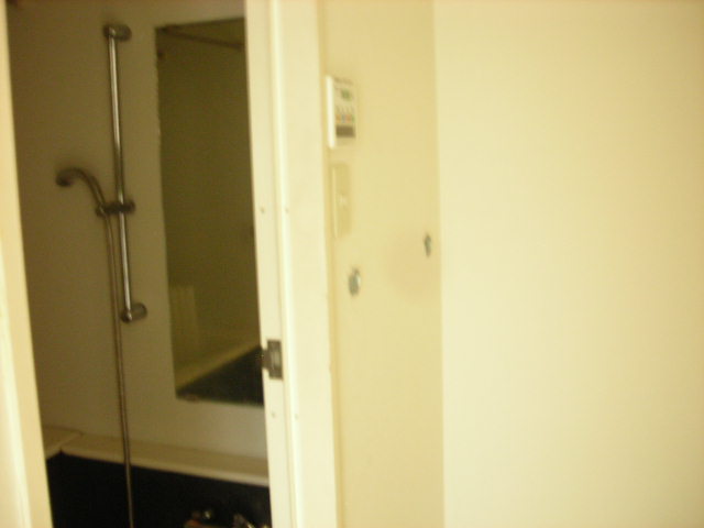 b0096418_1753268.jpg