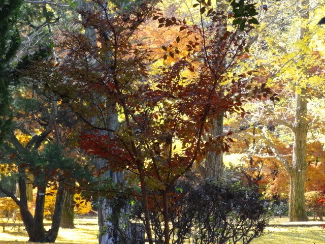 e0016828_1282230.jpg