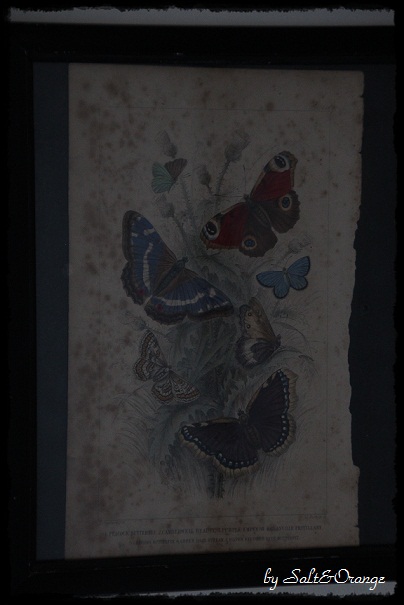 e0246732_22385725.jpg