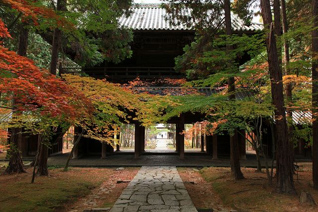 a0242438_19131868.jpg