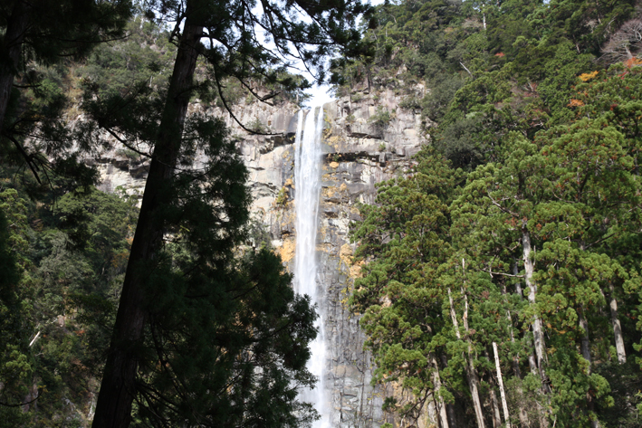 e0096346_347417.jpg