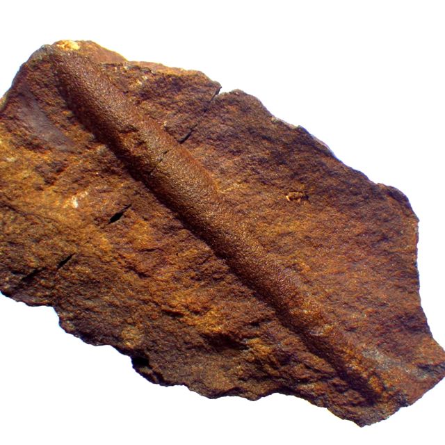 e0290546_13524990.jpg