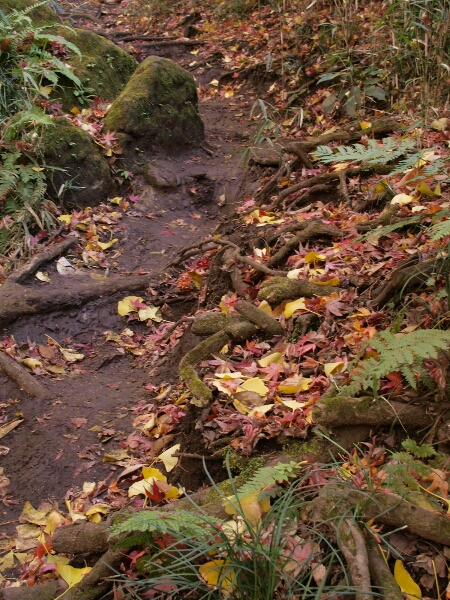 d0148647_1655428.jpg